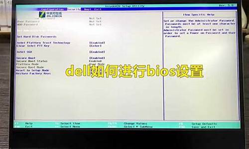 dellbios设置图解教程_dellb