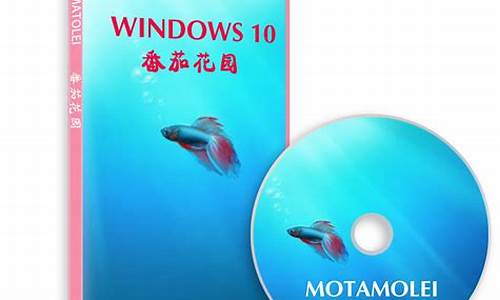 番茄花园windows xp sp3简体