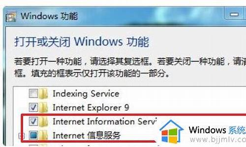 iis7是什么错误_iiswin7出现错误