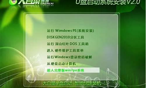 大白菜u盘装系统教程iso_大u盘装系统教程Win11