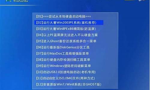 大蕃薯u盘启动盘_大蕃薯u盘启动盘制作工具